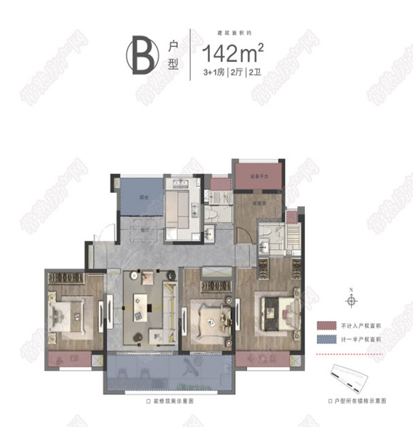 B戶型142㎡